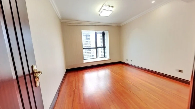 Hopson Dragon City - View 3