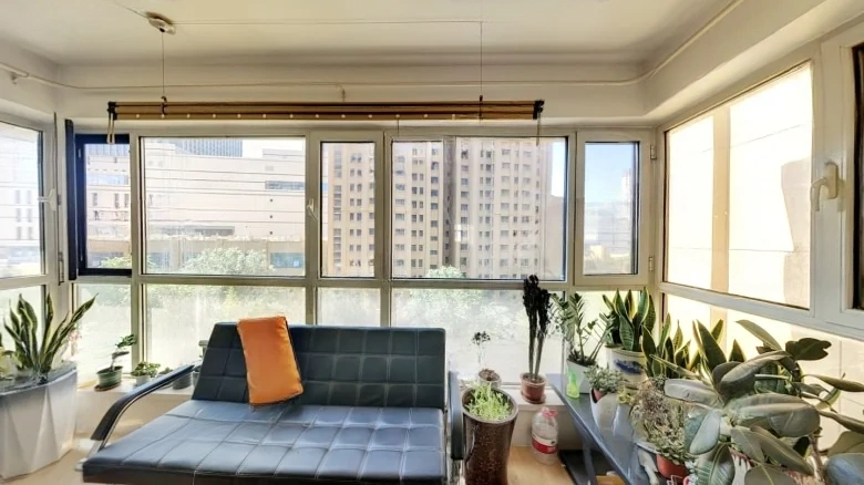 Sincere Maple International - View 11