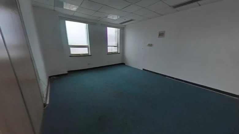 Oriental Goldstone - View 6