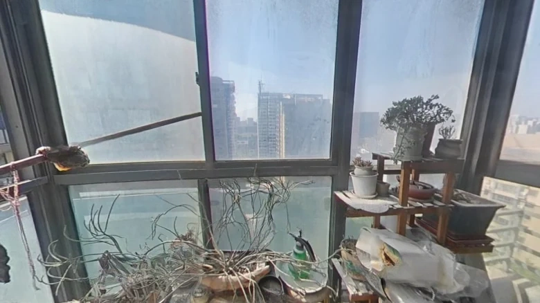 Blue霞Bay - View 10