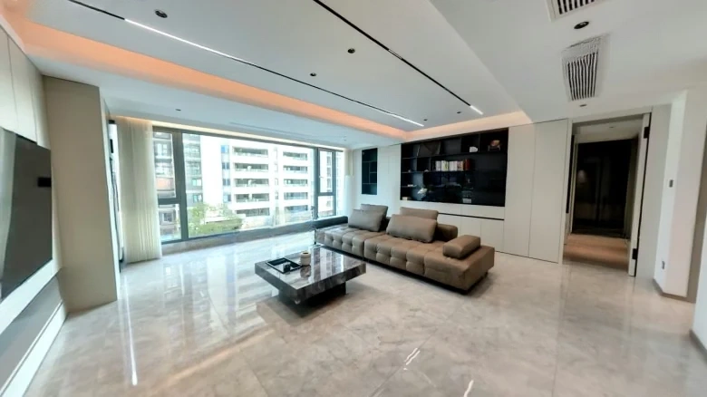 Shimao Brilliant Future - View 6