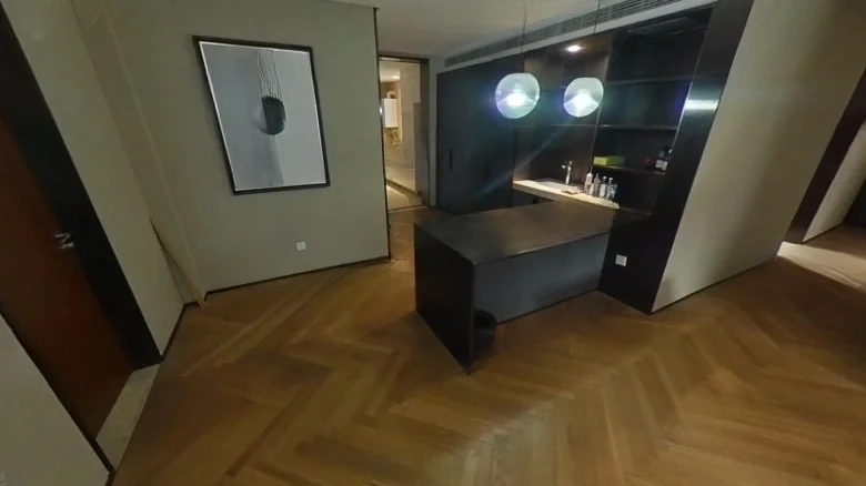 Long Hair Metropolitan Gentlemen - View 9