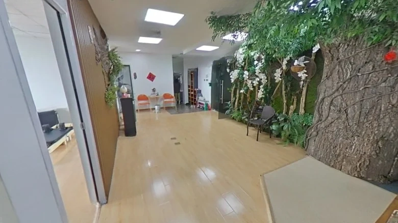 Zhongyuan Business Tower - View 5