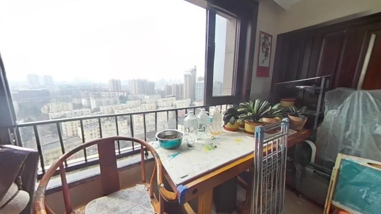 China Ocean Purple Imperial View Mansion - View 13