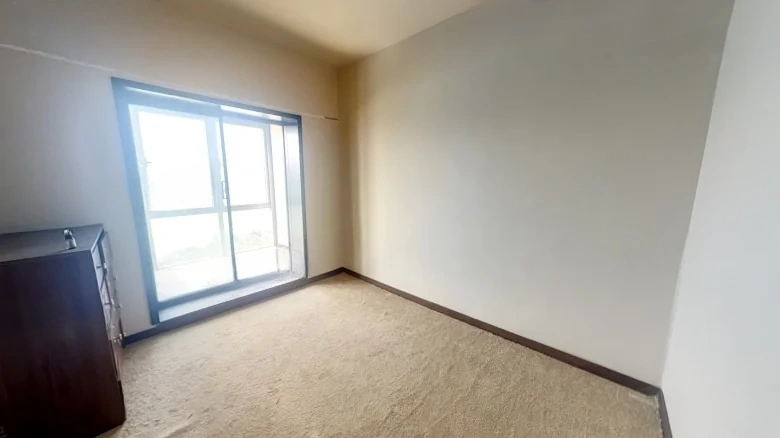 Paulson International Plaza - View 1