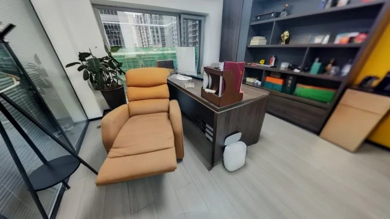 Ode to Joyfulness - View 1