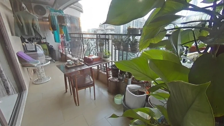 Pearl River Emperor View Estate Hesheng Purple Dragon Mansion - View 14