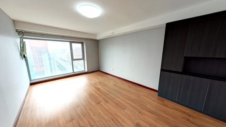 Ode to Joyfulness - View 7