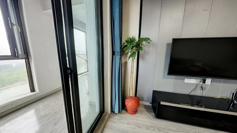 Huaqiang City - View 5