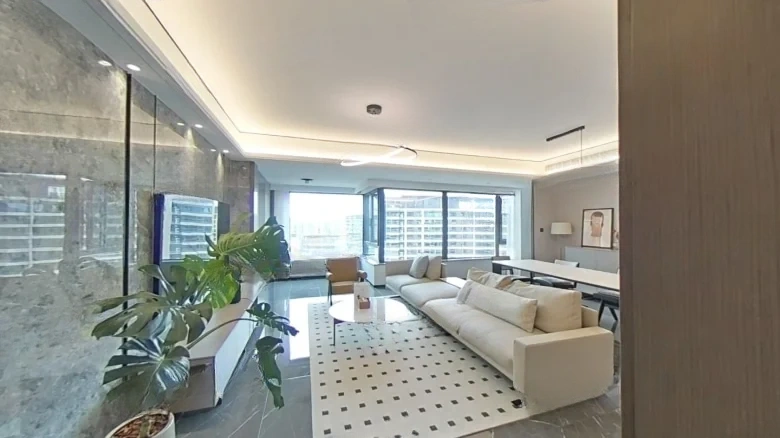 Jianfa Central Seal - View 4