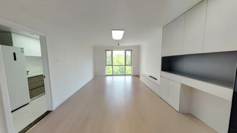 View Lake International - View 6