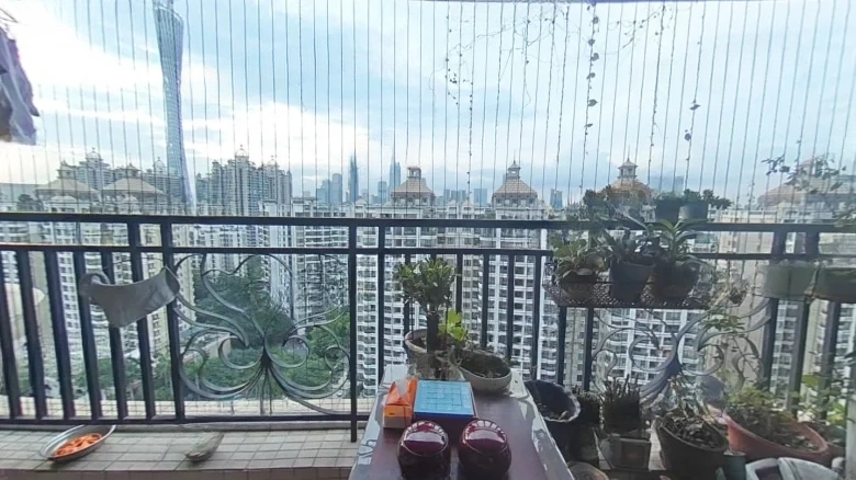 Pearl River Emperor View Estate Hesheng Purple Dragon Mansion - View 13