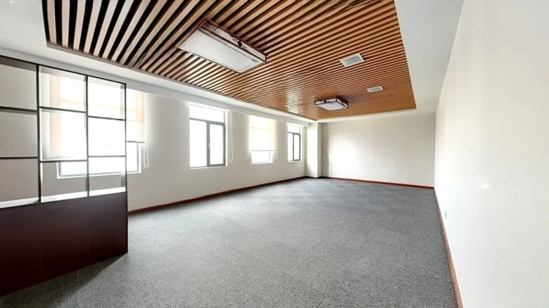 East 8 District Business Mansion - View 1