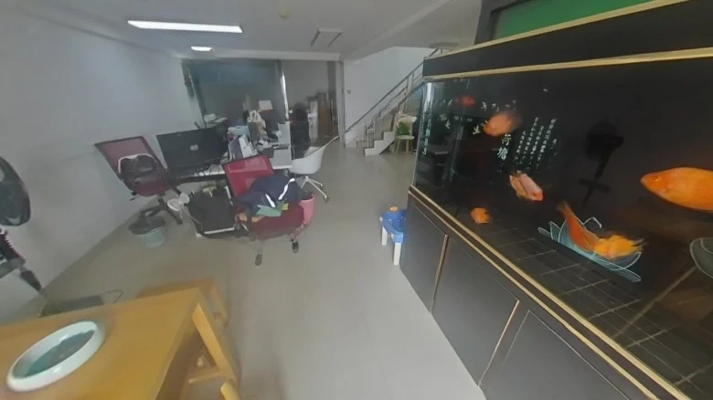 Haiyin Starlight Moonstone - View 12