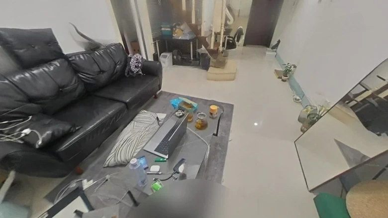 Guangzhou Olympic Garden - View 5