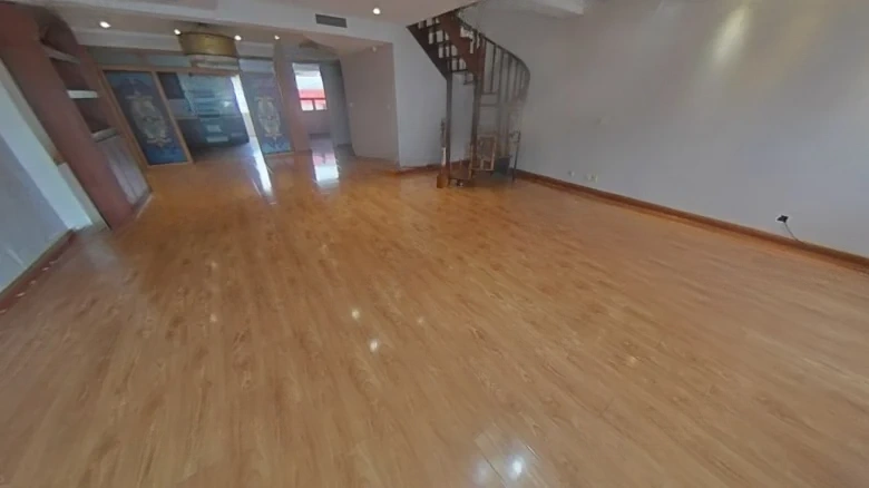 Millennium Dragon Garden Phase I - View 9