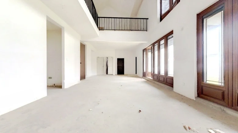 Phoenix Perches on the Parasol Tree - View 2