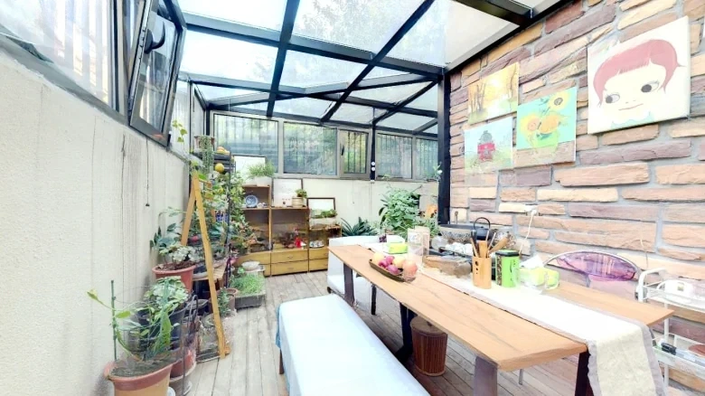 Sunshine Yard Above - View 15