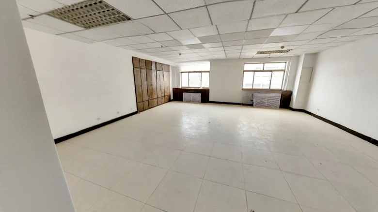 Silver Trust Tower - View 3