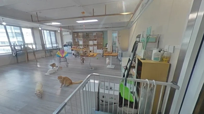 Wanda 39 Carats - View 7