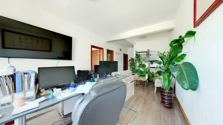 Dragon Sea Pearl Gem - View 1