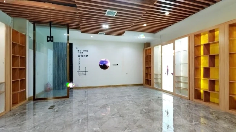 Crescent Mansion - View 3