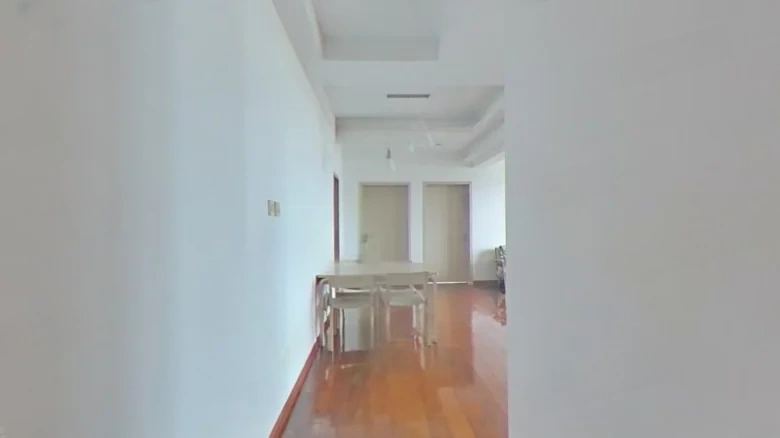 China Ring International Plaza - View 6