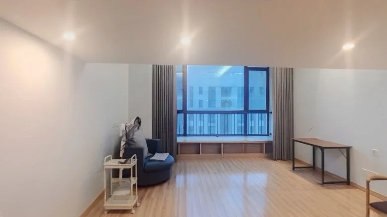 Wanke Metropolis - View 1