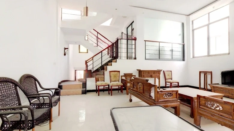 Hibiscus Ancient City Purple Cloud Garden - View 8