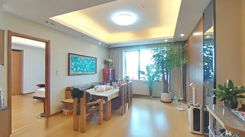 Shimao Platinum Palace - View 1