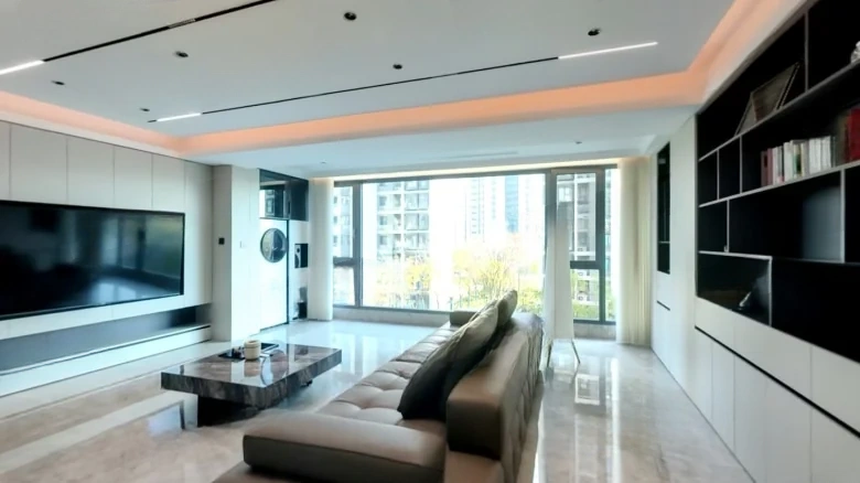 Shimao Brilliant Future - View 1