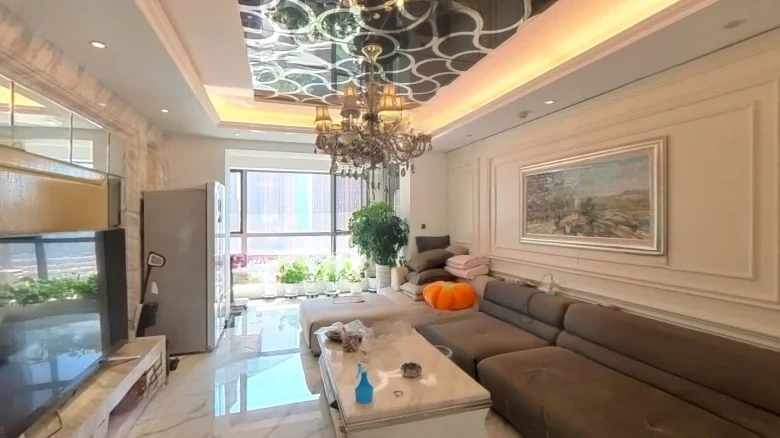 Shimao Xin Wulihu - View 1