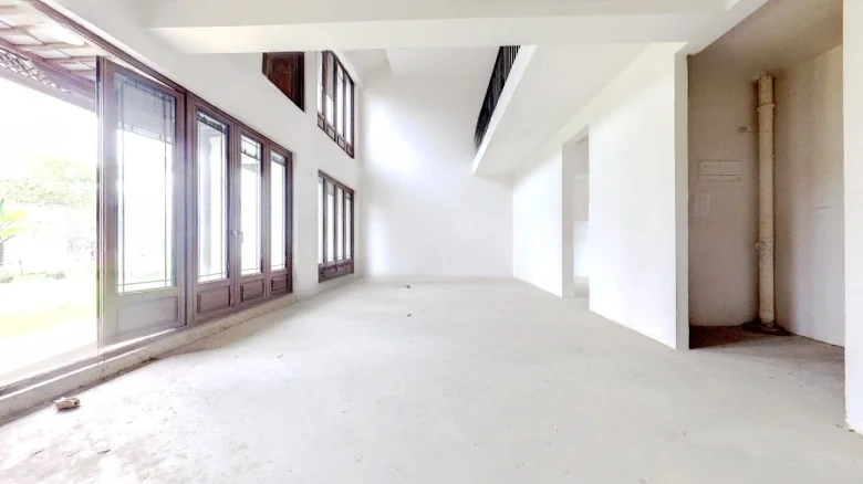 Phoenix Perches on the Parasol Tree - View 3