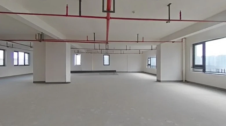 Dongyuan Dexin Yindaowan - View 8