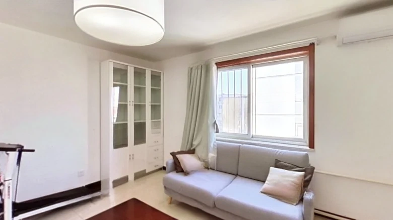 Dingfu Village West Street - View 1