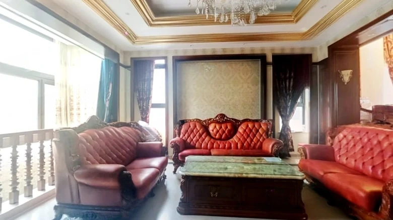 Zhonghai International Platinum Palace Villas West District - View 6