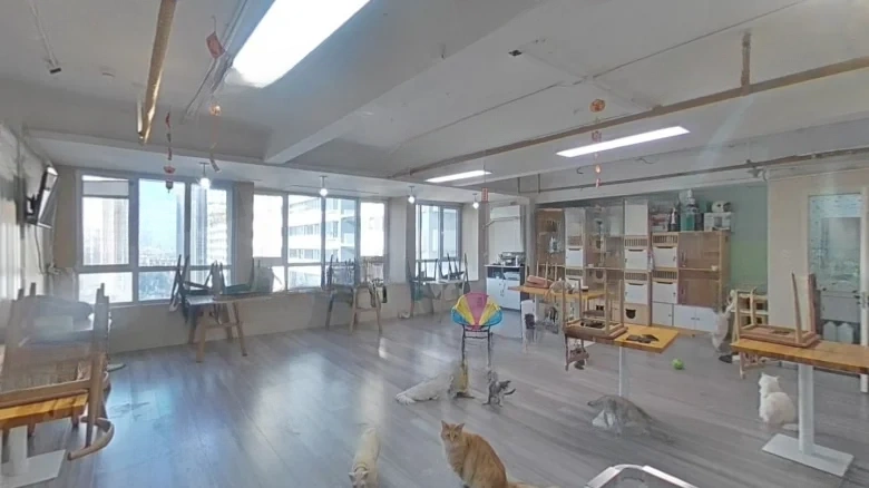 Wanda 39 Carats - View 1