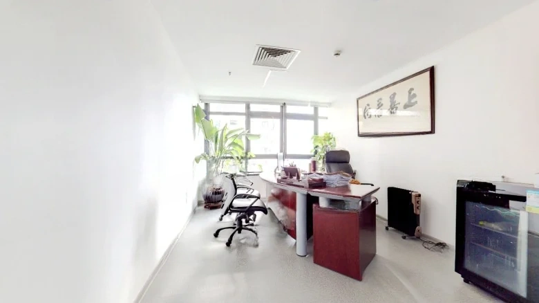 Manhattan Mansion - View 1