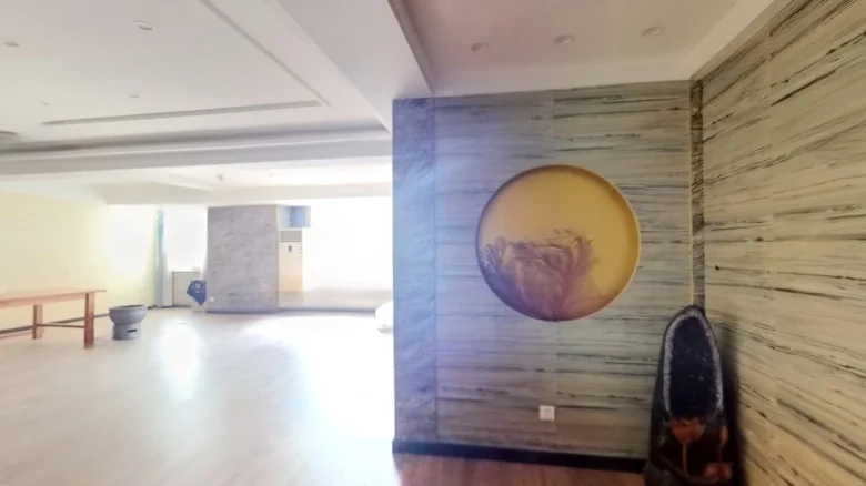 Jinqiao International - View 1