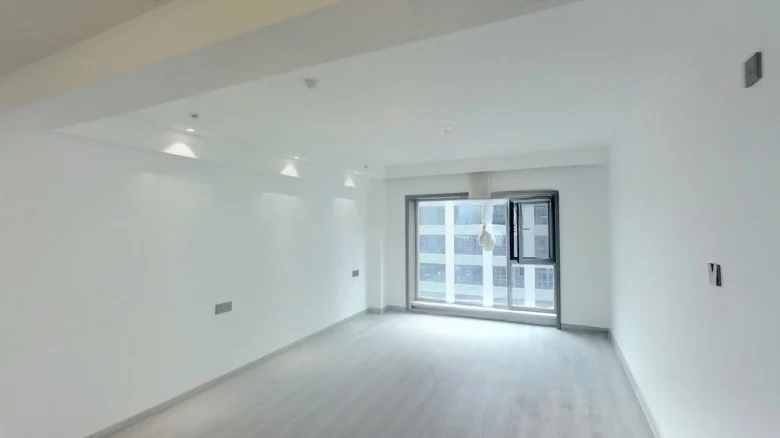 Ode to Joyfulness - View 11