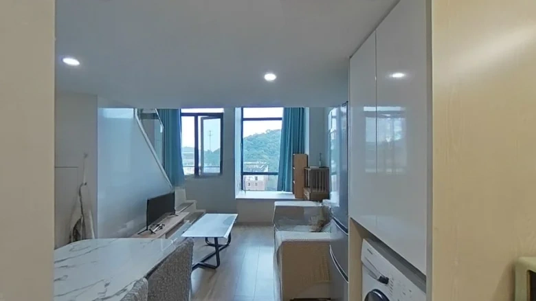 Neptunium Pentalane - View 1