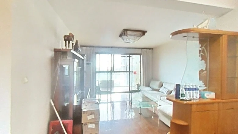 Eastern District of Yadong City - View 1