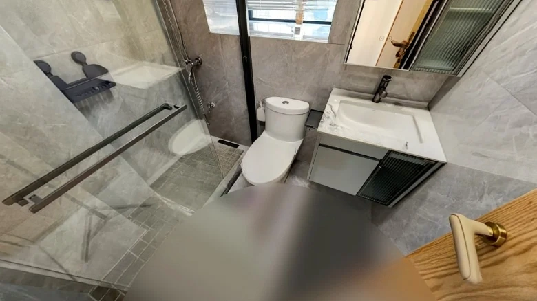 Dingfeng Lujiang 1号 - View 11