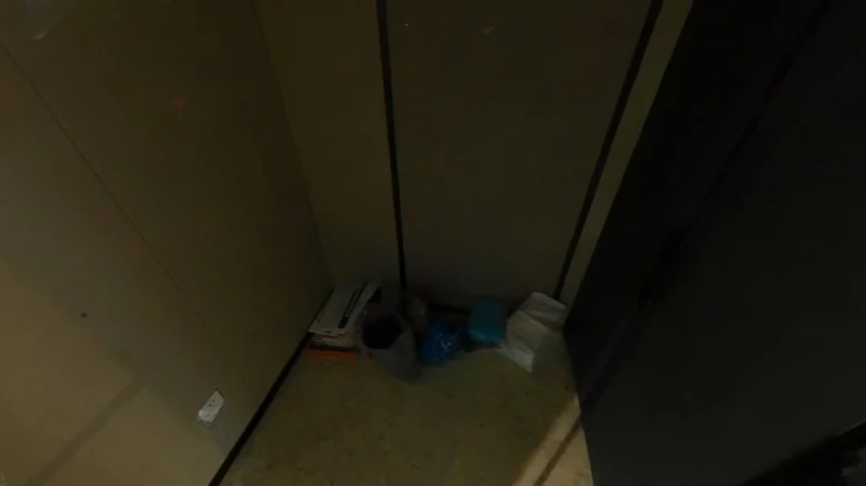 Long Hair Metropolitan Gentlemen - View 17