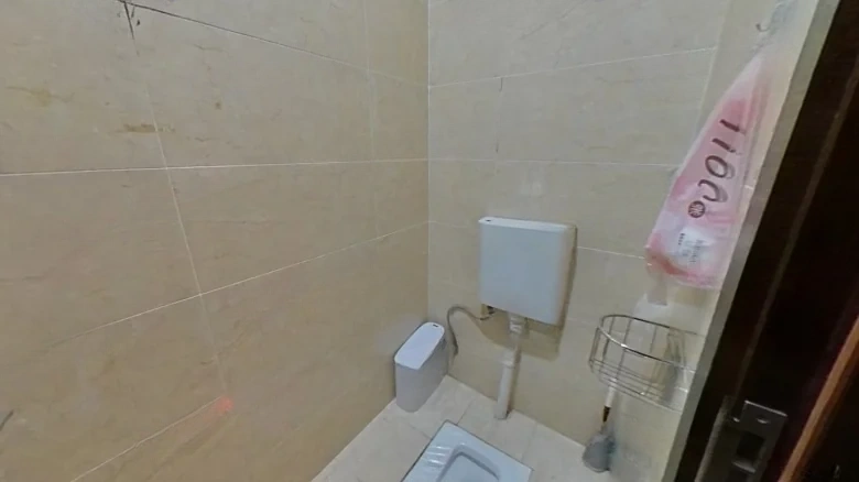 Spring Virtue Street - View 17