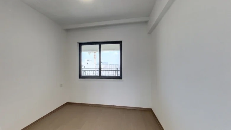 Binhjiang Mansion 1913 - View 4