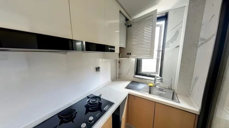 China Ocean Real Estate Wangjing Mansion - View 8