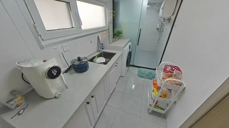 Laiyang Road - View 7