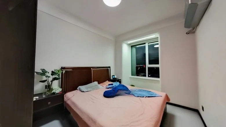 Zhongfan Golden Ginkgo Mansion - View 3