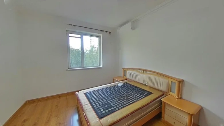 Harmony Scene New World - View 3